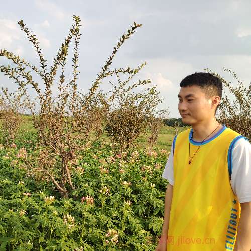 37岁岁广东单身帅哥 - 聊城吉缘网